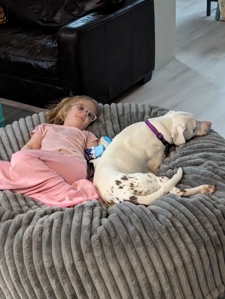 Violet, a 6-year-old girl, lies under a pink blanket next to Penny, a white dog with brown spots on her hind quarters. The two are snuggled up on a giant gray floor cushion. 