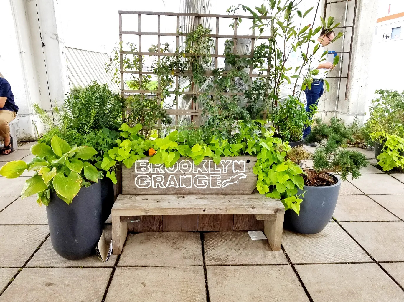 New Zealand Wine Tasting at Brooklyn Grange Rooftop Farm in New York, Wine Casual