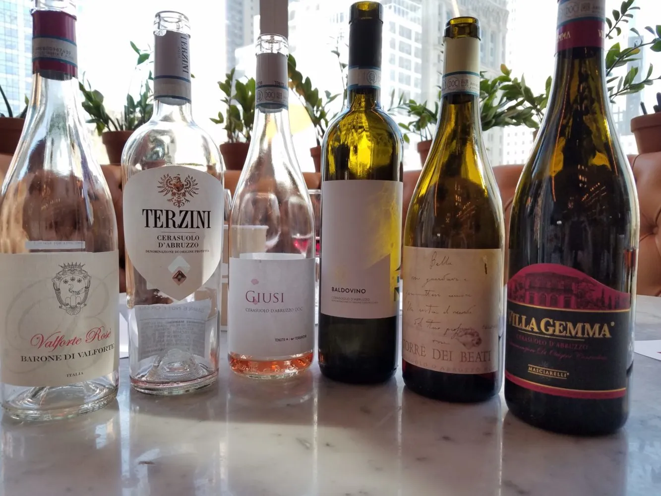 Slow Wine New York Winetasting, Wine Casual