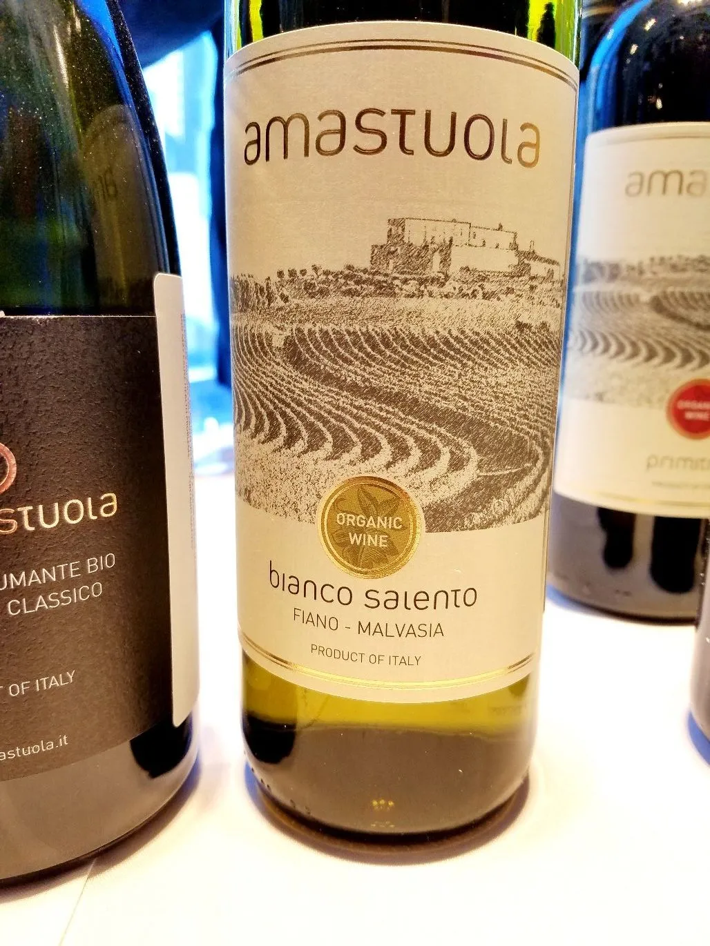 Amastuola Bianco Salento 2018 Fiano Malvasia Italy, Slow Wine New York Winetasting, Wine Casual