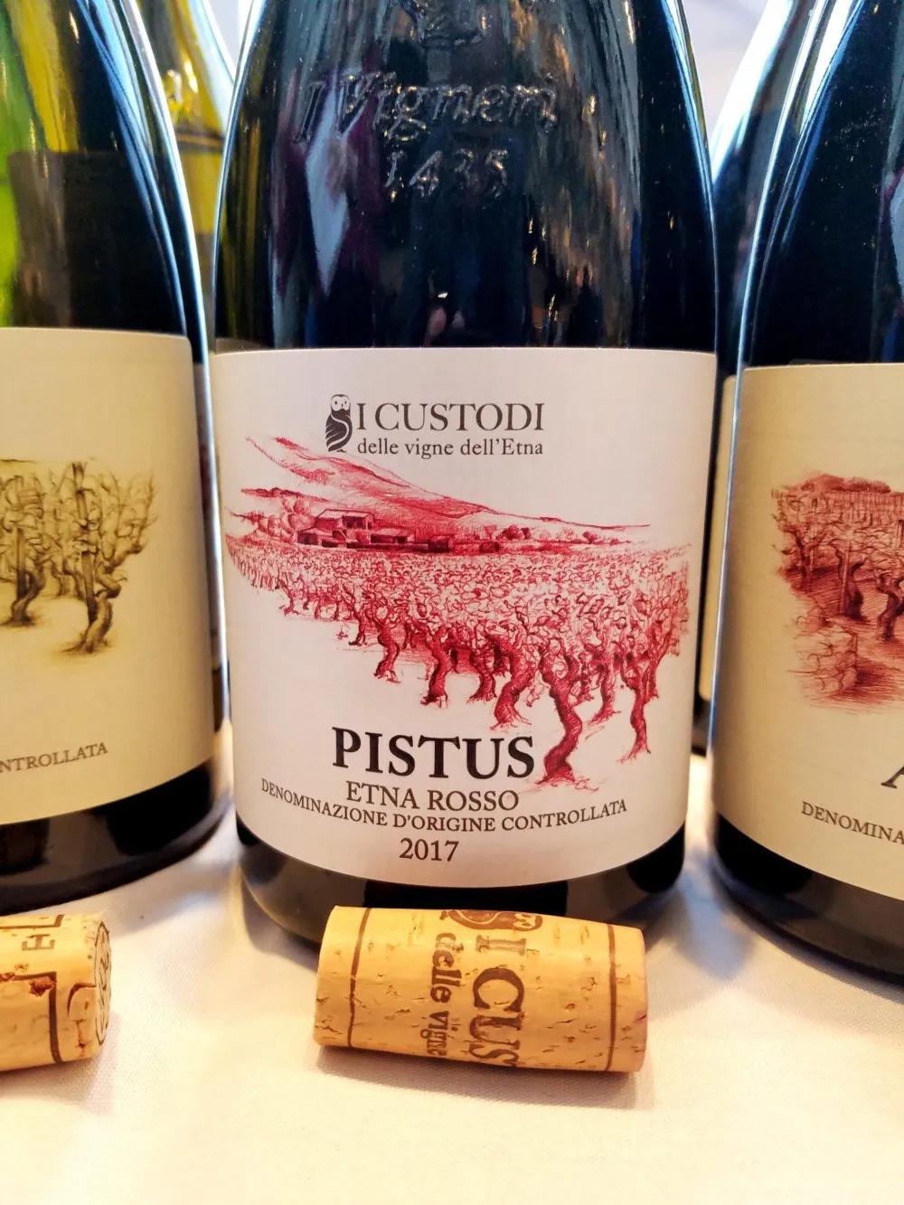 I Custodi delle Vigne dell'Etna Pistus Etna Rosso 2017 Sicily Italy, Slow Wine New York Winetasting, Wine Casual