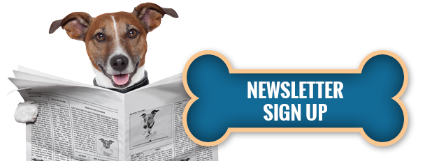 Seattle DogSpot Newsletter Sign up