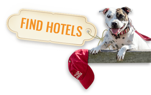 find dog friendly hotels in and around Seattle.