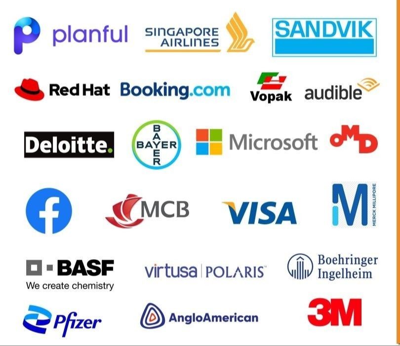 Self Leadership International Clients