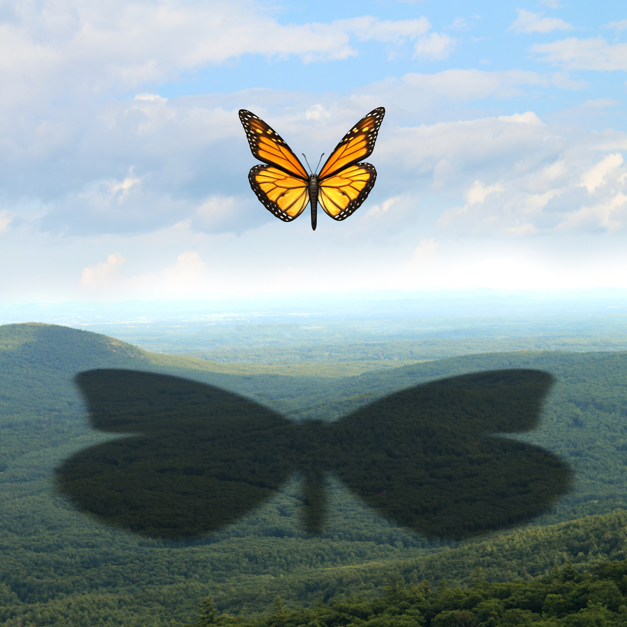 How to Make Your Mark as a Leader: An Executive Coaching Perspective