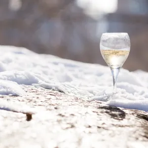 Winter White Wines New York State