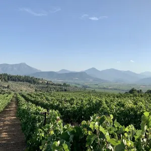 Lantides Winery Nemea
