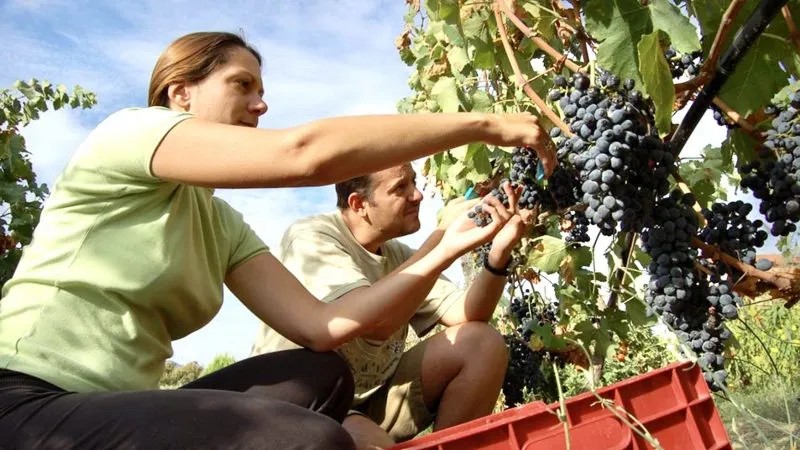 Thanos and Louiza Dougos