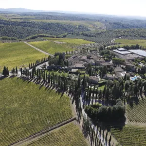 San Felice Winery: Honoring Tuscan Heritage through Innovation and Preservation