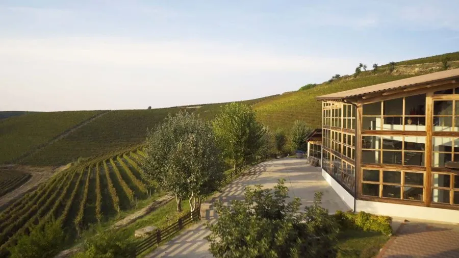 Ricossa Winery Nizza DOCG