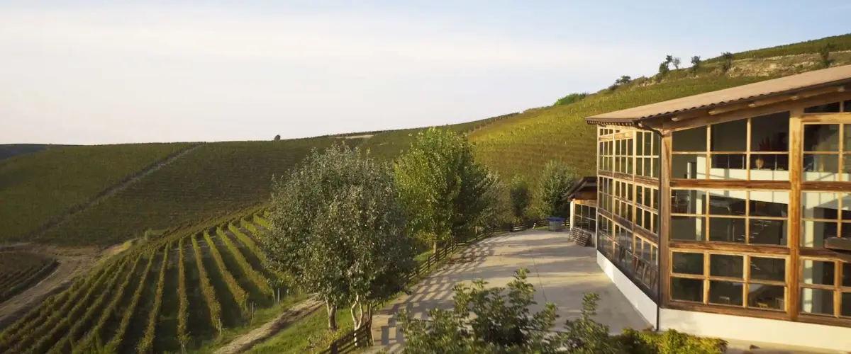 Nizza: Barbera’s Rise to DOCG Stardom