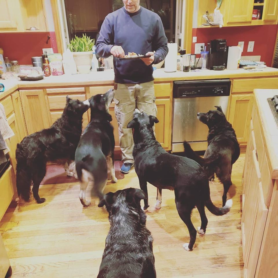 Johan-and-all-five-of-our-dogs.