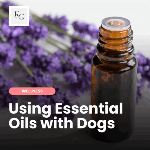 Essential Oils | Keep the Tail Wagging | Raw Feeder Life Learn how to safely use essential oils for dogs: benefits, risks, best oils for calming & fleas, plus diffuser recipes & safe sourcing tips.