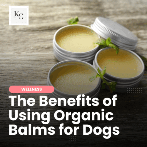 Organic Balms for Dogs | Keep the Tail Wagging | Raw Feeder Life Discover the benefits of natural balms for dogs! Learn how to choose, use, and make soothing paw, nose, and skin balms to keep your pup healthy year-round.