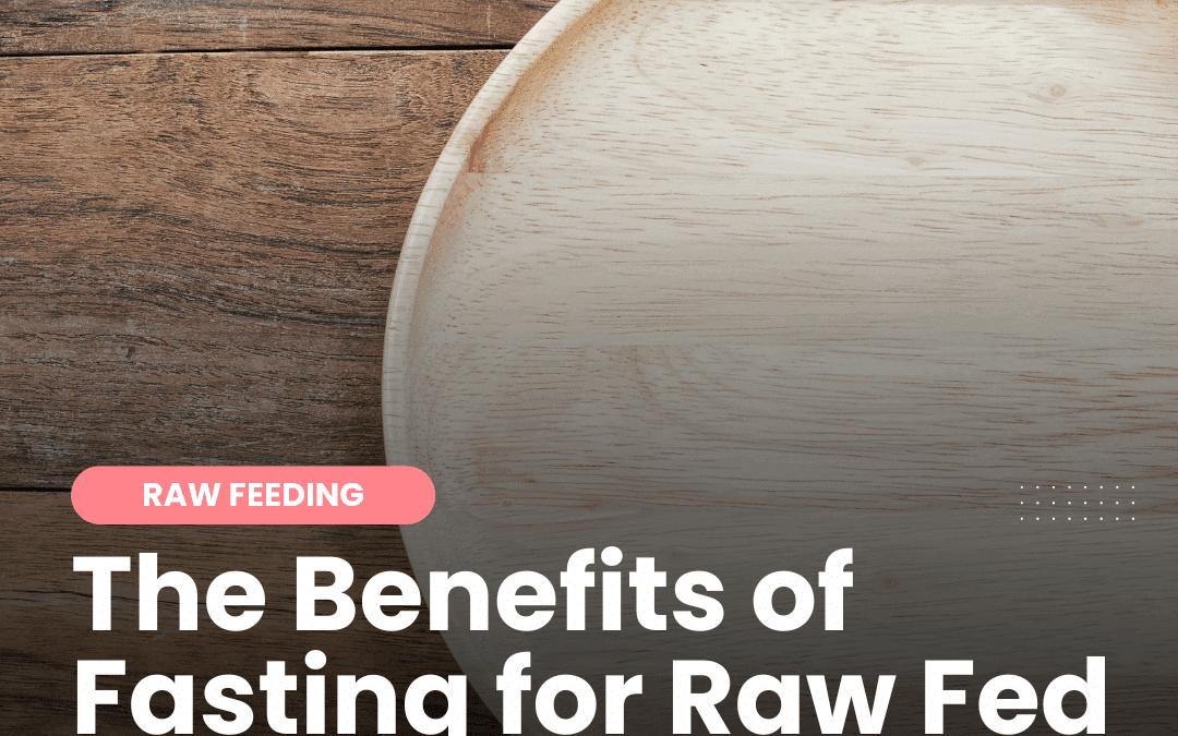 The Benefits of Fasting for Raw Fed Dogs