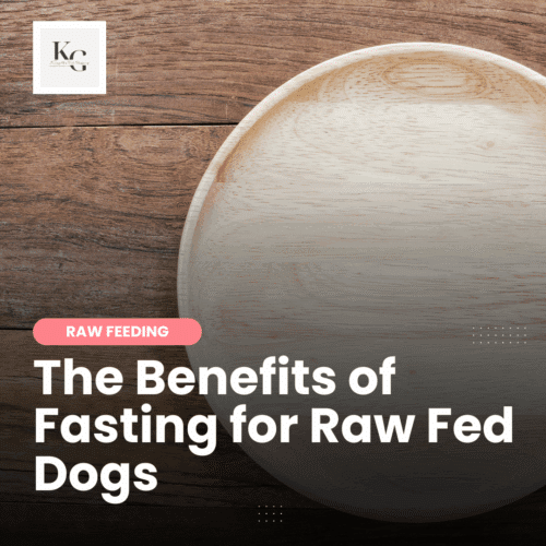 Benefits of Fasting | Keep the Tail Wagging | Raw Feeder Life Fasting supports detox, gut health, and healing in raw fed dogs. This holistic guide teaches safe methods like intermittent fasting and raw milk fasts.