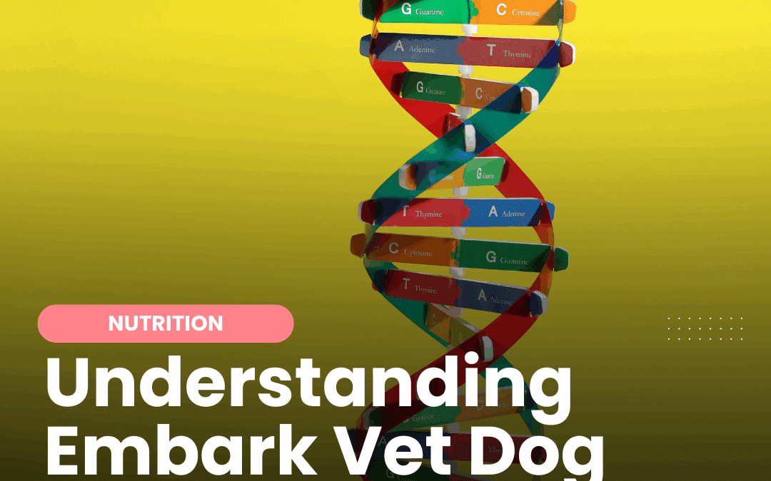Understanding Embark Vet Dog DNA & Health Tests