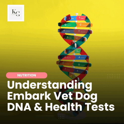 Embark Vet | Keep the Tail Wagging | Raw Feeder Life Explore Embark Vet’s Dog DNA & Health tests, benefits, accuracy, and features like breed ID, health screening, traits, and connecting with dog relatives.