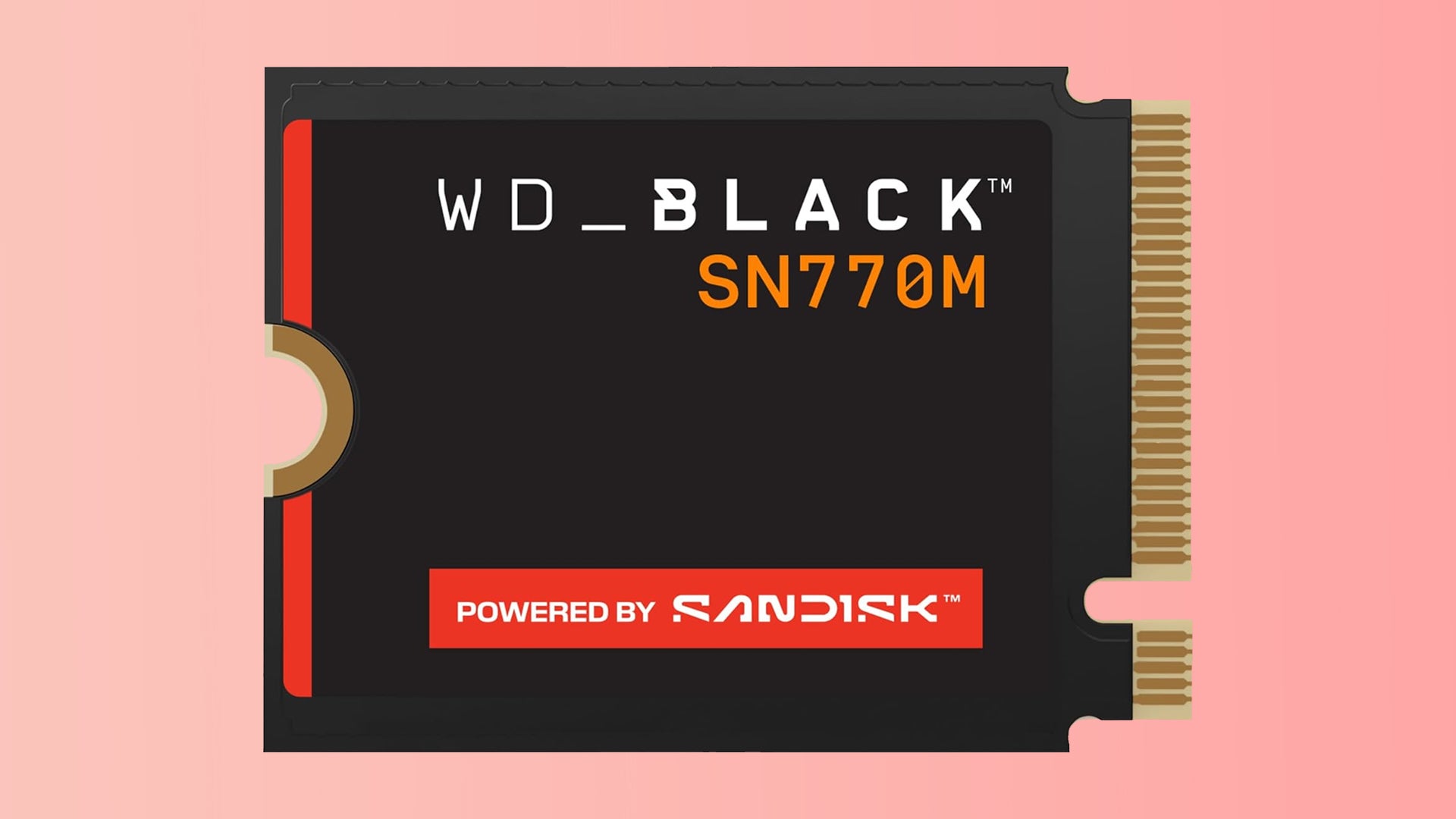 WD SN770M Sandisk SSD on a gradient background